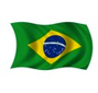 La Bandera Brasileña